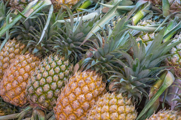 Pile of pineapples at a market stall