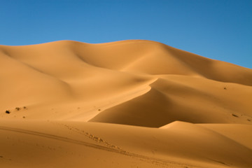 Fototapeta na wymiar Desert dunes