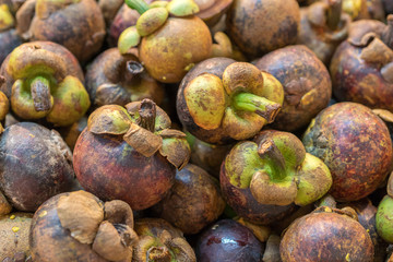 mangosteen fruit in the market