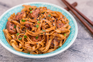 Stir Fried noodle with pork in soy sauced
