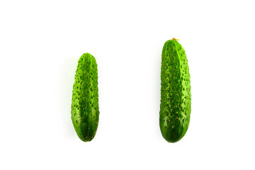 Ripe fresh cucumber