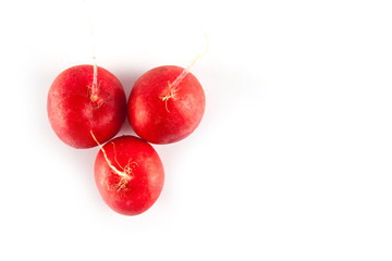 Ripe fresh radish
