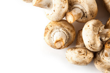 Fresh mushrooms close up