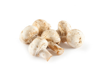 Fresh mushrooms close up