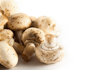 Fresh mushrooms close up