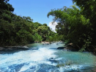 Corredeira da cachoeira com águas cristalinas e pedras matas bambu com céu azul ao fundo