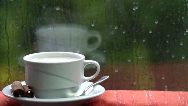 Salep or sahlap with cinnamon