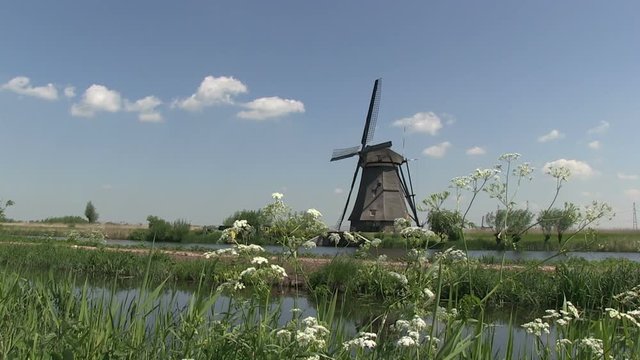 Dutch Windmills at the countryside, The Netherlands - 6