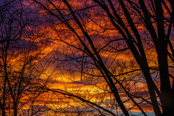 Beautiful sky fiery orange sunset and Silhouettes of trees