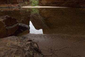 The Amphitheater, Cathedral Gorge, Purnululu National Park