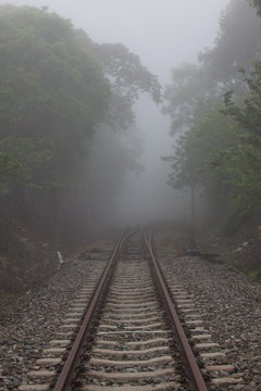 Railroad tracks disappearing into the mist