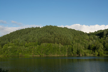 Fototapeta na wymiar 新緑の森と湖