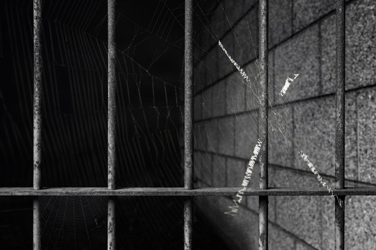 old prison bars cell lock background dark black and light with spider web hanging