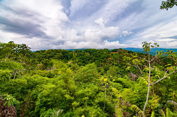 Fototapeta na wymiar Clouds over the Rainforest