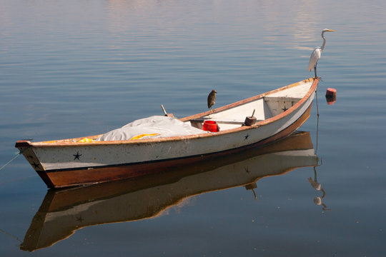 Egret on a small fishing boat, Brazil