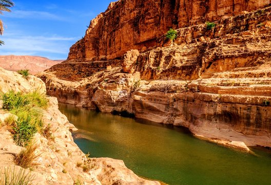 river in oasis