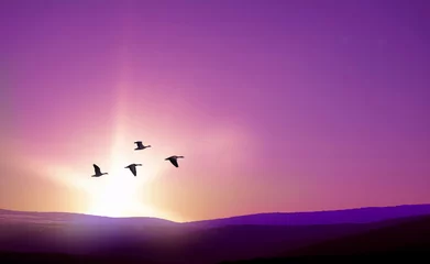 Tuinposter Vogels die tegen het paarse landschap op de achtergrond vliegen © mbolina