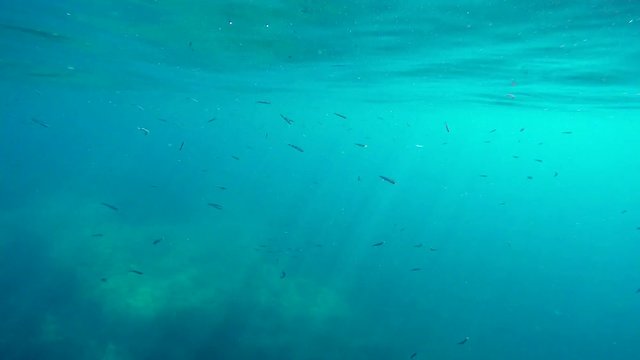 Underwater GoPro shots, sun rays through the water, splashes and bubles