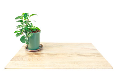 Potted plants placed on wooden plank. The interior concept.