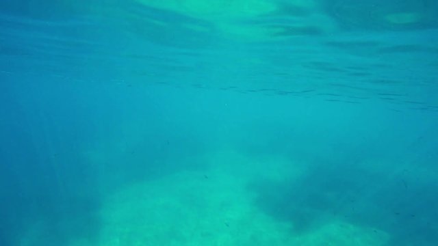 The underwater views of the ocean with its inhabitants - 7
