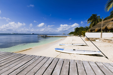 Obraz premium Caribbean Island paradise.