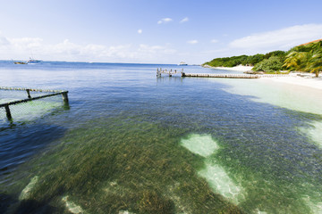 Obraz premium Caribbean Island paradise.