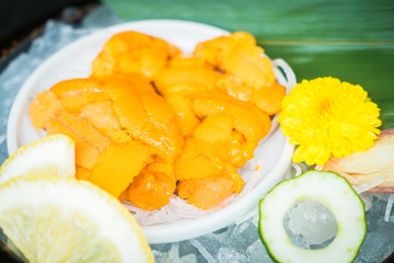 Uni sashimi