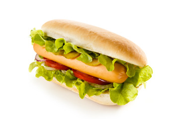 Hot dog on white background 