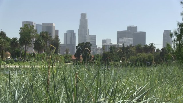 Downtown Los Angeles from Echo Park. Beautiful fountain, flowers and herbs - 6