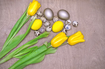 Easter background with silver eggs and yellow tulips over wood background