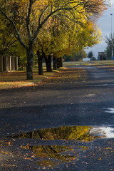 bethlehem south africa in autumn