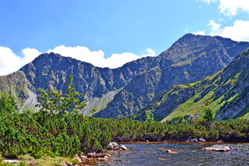 Szczyty górskie w Tatrach Zachodnich