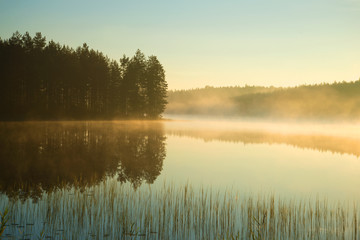 A foggy August morning on a forest lake. Southern Finland