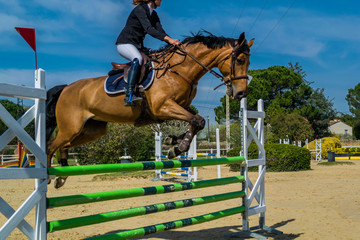 Equitation, saut d'obstacles, compétition.
