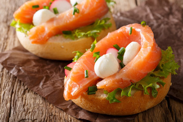 Sandwiches with salted salmon, mozzarella, frisee, onion and radish close-up. horizontal