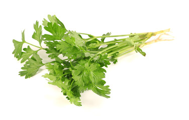 parsley isolated on a white background