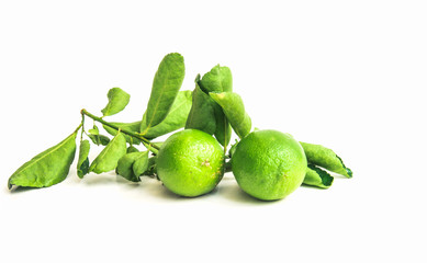 Thai lemon and green leaves isolated on white