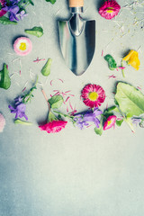 Gardening background with flowers, petals and shovel, top view