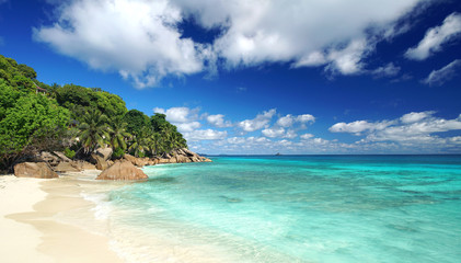 Plakat traumhafte Strandbucht auf den Seychellen