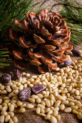 Fototapeta premium Cedar cones together with nuts in the shell and without it.