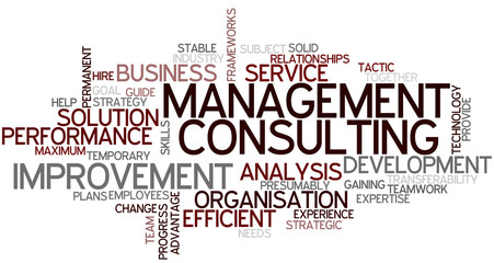 Word Cloud Management Consulting