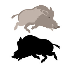  wild Boar vector illustration style Flat 