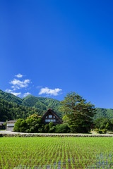 世界遺産 白川郷 初夏