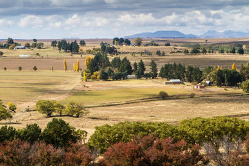 Fototapeta premium farm in eastern free state south africa