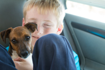 boy and dog best friends