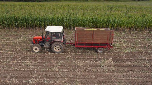 The tractor is driving on the fields harvesting and forming the hay stacks in Baliranje, aerial - 5