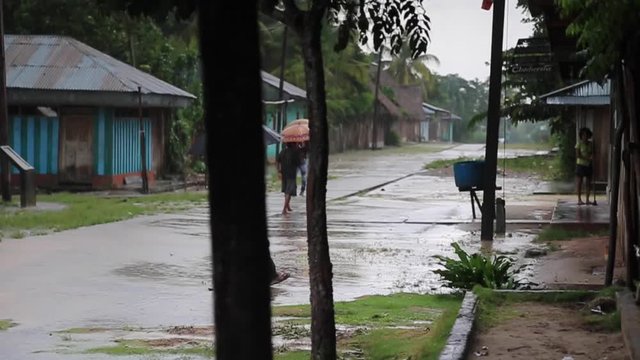 Tropical rain in the village, Peru - 5