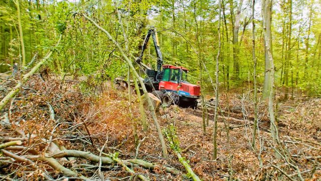 A Logging Timber Company Picking Up The Tree Trucks That They Previously Cut Down From A Forest 