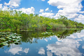 Obraz na płótnie Canvas Florida wetland, Airboat ride at Everglades National Park in USA