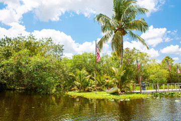 Fototapeta na wymiar Florida wetland, Airboat ride at Everglades National Park in USA.
